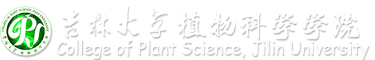 welcome欢迎光临威尼斯集团（en）