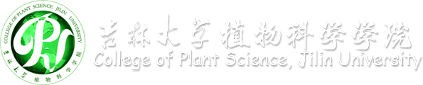 welcome欢迎光临威尼斯集团